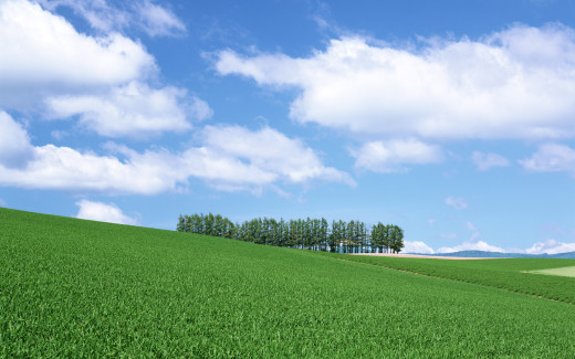 452418 (a): :1920x1200